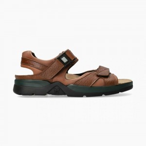 Men Mephisto Shark Fit Sandals | LPU145803