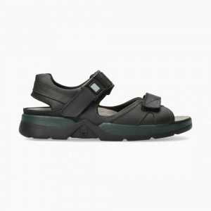 Men Mephisto Shark Fit Sandals | PLR578921