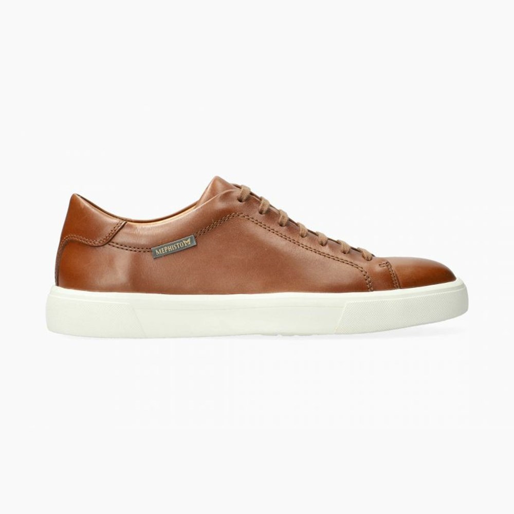 Men Mephisto Cristiano Sneakers | BPD023761