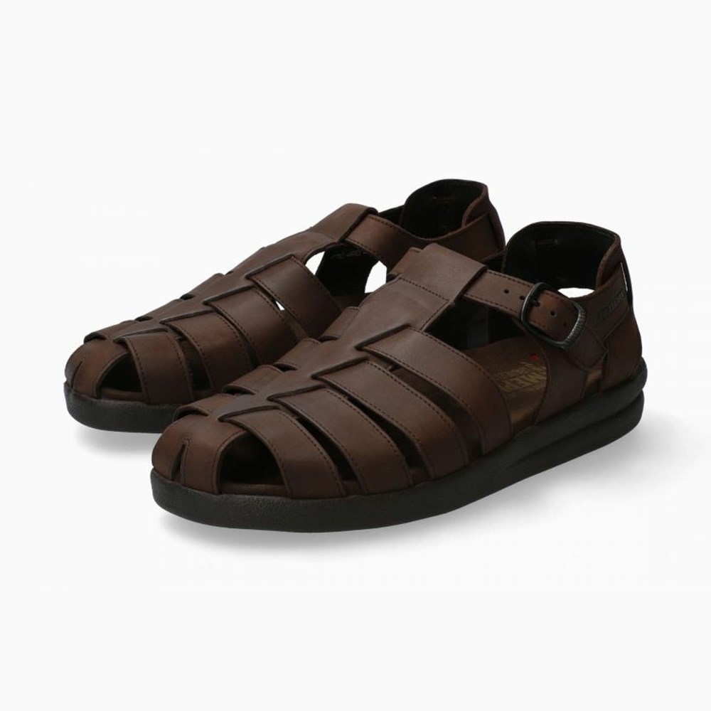 Men Mephisto Sam Sandals | IHO592084