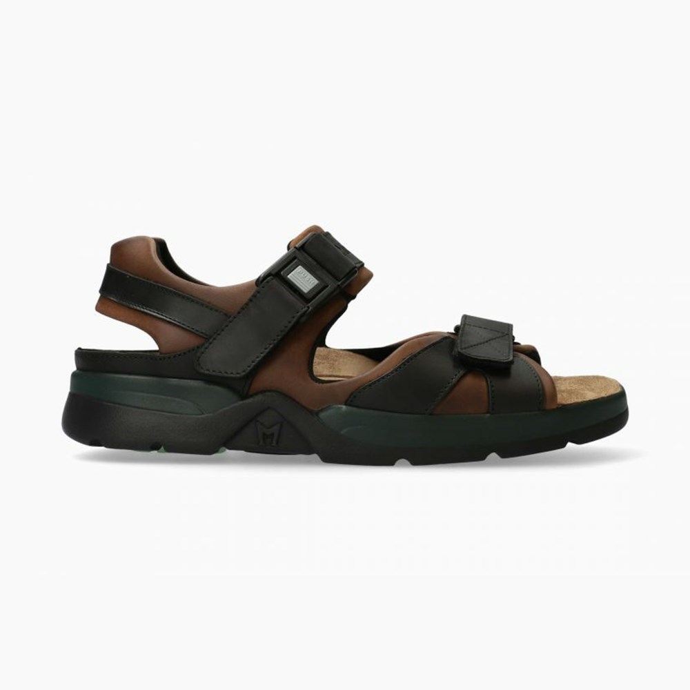 Men Mephisto Shark Fit Sandals | LGF812645