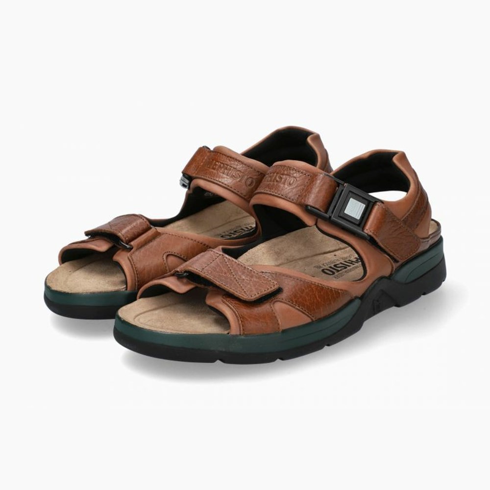 Men Mephisto Shark Fit Sandals | LPU145803